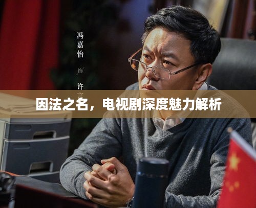 因法之名，电视剧深度魅力解析