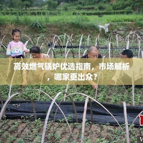 高效燃气锅炉优选指南，市场解析，哪家更出众？