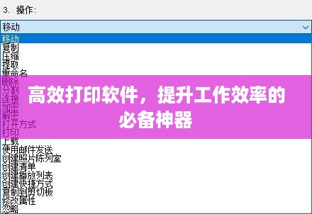高效打印软件，提升工作效率的必备神器