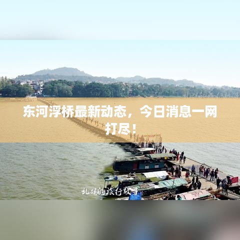 东河浮桥最新动态，今日消息一网打尽！