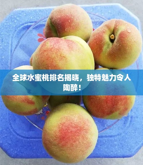 全球水蜜桃排名揭晓，独特魅力令人陶醉！