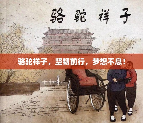 骆驼祥子，坚韧前行，梦想不息！