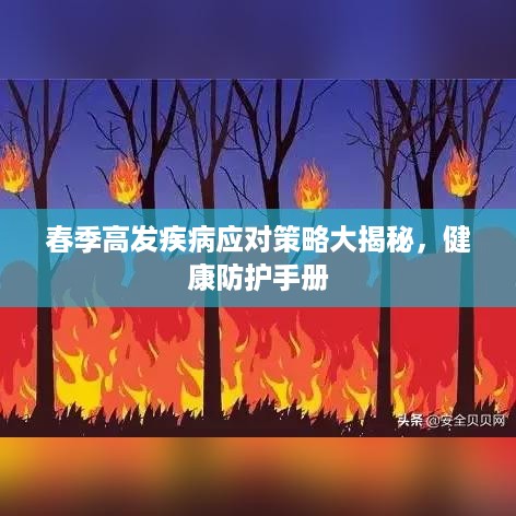 春季高发疾病应对策略大揭秘，健康防护手册