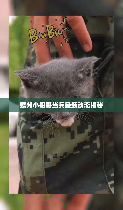 赣州小哥哥当兵最新动态揭秘