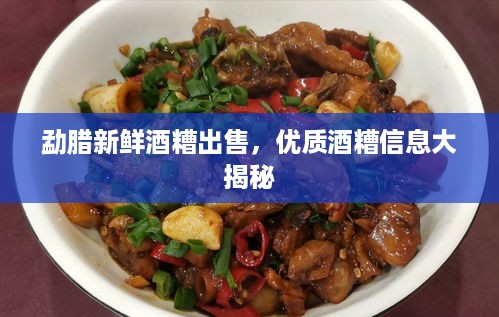 勐腊新鲜酒糟出售，优质酒糟信息大揭秘
