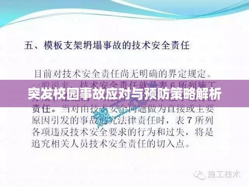 突发校园事故应对与预防策略解析