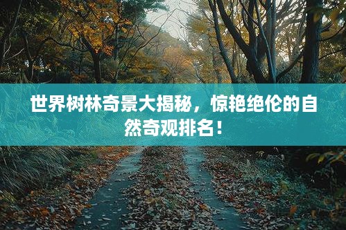 世界树林奇景大揭秘，惊艳绝伦的自然奇观排名！