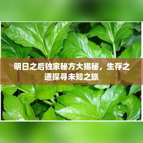 存证 第21页