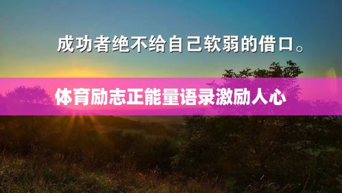 体育励志正能量语录激励人心