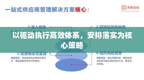 以驱动执行高效体系，安排落实为核心策略