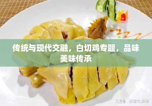 传统与现代交融，白切鸡专题，品味美味传承