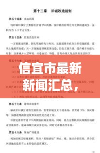 信宜市最新新闻汇总，城市动态速递，发展亮点抢先看