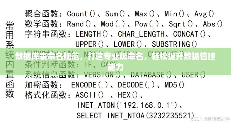 数据库表命名规范，打造专业级命名，轻松提升数据管理能力