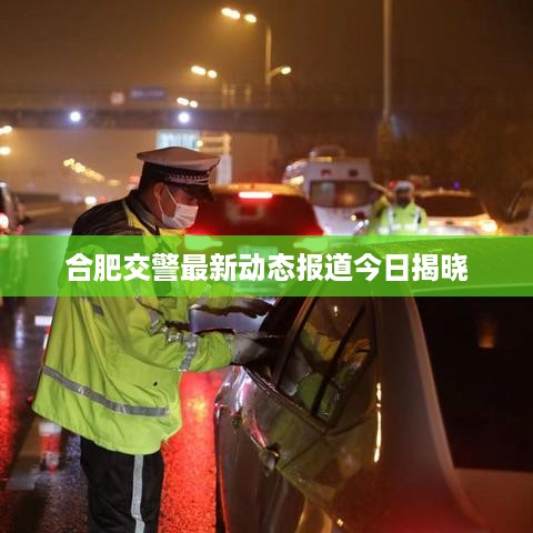 取证 第20页