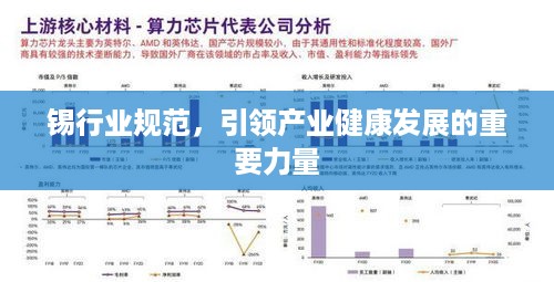 锡行业规范，引领产业健康发展的重要力量