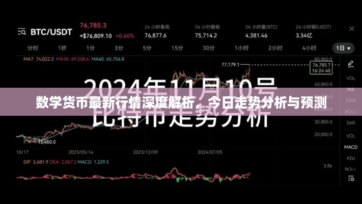 公证管理 第20页
