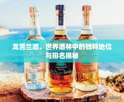 龙舌兰酒，世界酒林中的独特地位与排名揭秘