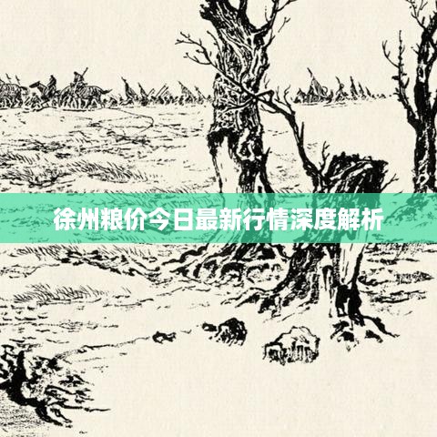 徐州粮价今日最新行情深度解析
