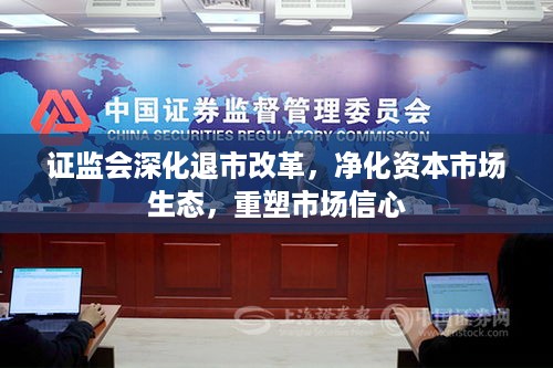 证监会深化退市改革，净化资本市场生态，重塑市场信心