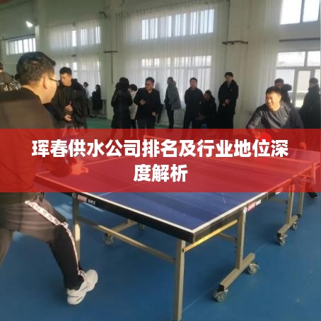 珲春供水公司排名及行业地位深度解析