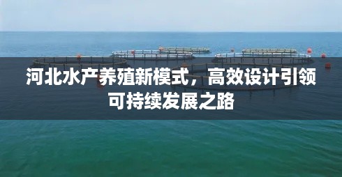 河北水产养殖新模式，高效设计引领可持续发展之路