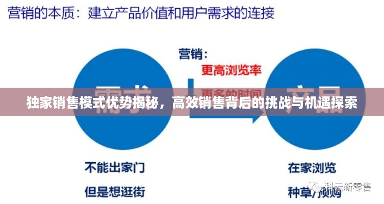 独家销售模式优势揭秘，高效销售背后的挑战与机遇探索