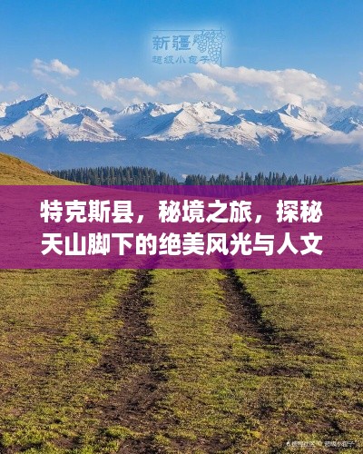 特克斯县，秘境之旅，探秘天山脚下的绝美风光与人文风情攻略
