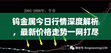 钨金属今日行情深度解析，最新价格走势一网打尽