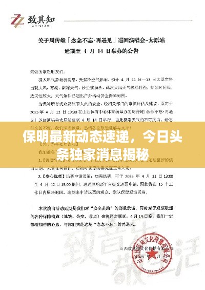 保明最新动态速递，今日头条独家消息揭秘