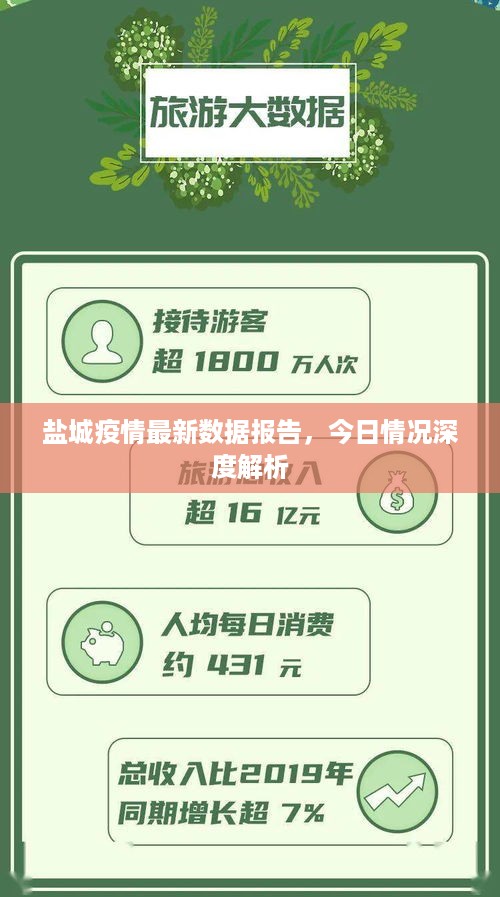 盐城疫情最新数据报告，今日情况深度解析