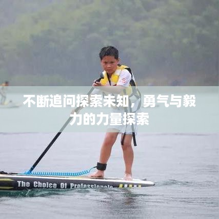 不断追问探索未知，勇气与毅力的力量探索
