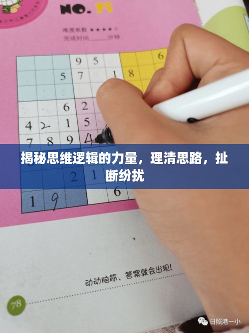 揭秘思维逻辑的力量，理清思路，扯断纷扰