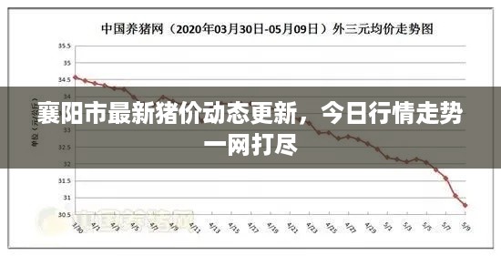 取证 第15页