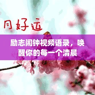 励志闹钟视频语录，唤醒你的每一个清晨