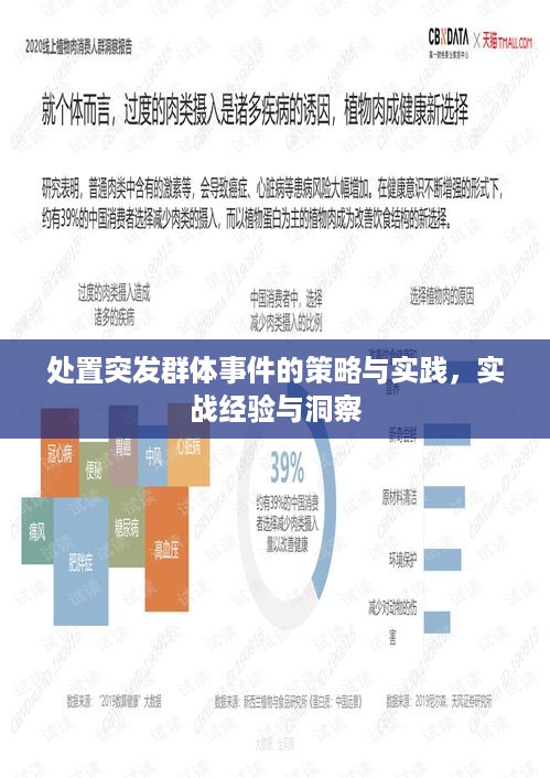 处置突发群体事件的策略与实践，实战经验与洞察