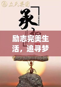 存证 第12页