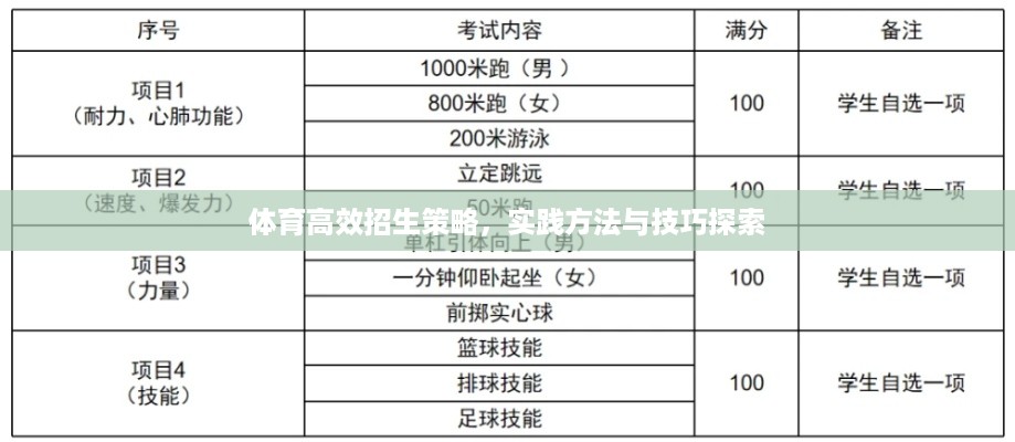 体育高效招生策略，实践方法与技巧探索