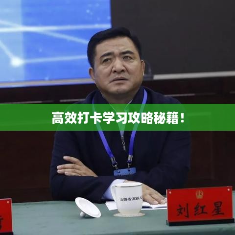 高效打卡学习攻略秘籍！
