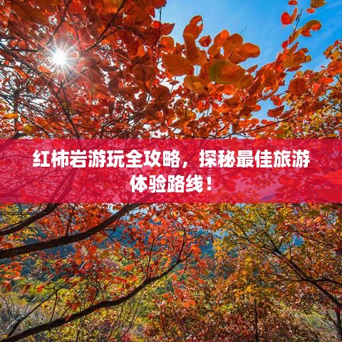 红柿岩游玩全攻略，探秘最佳旅游体验路线！