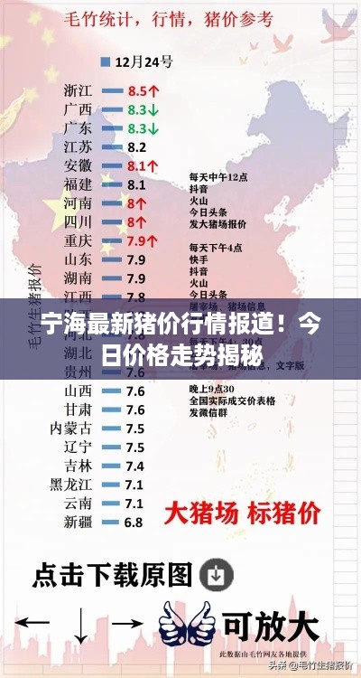 宁海最新猪价行情报道！今日价格走势揭秘