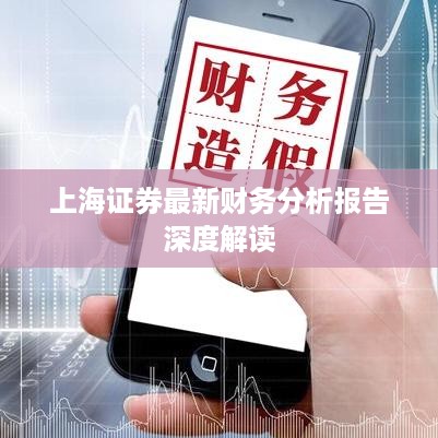 上海证券最新财务分析报告深度解读