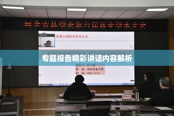 专题报告精彩讲话内容解析