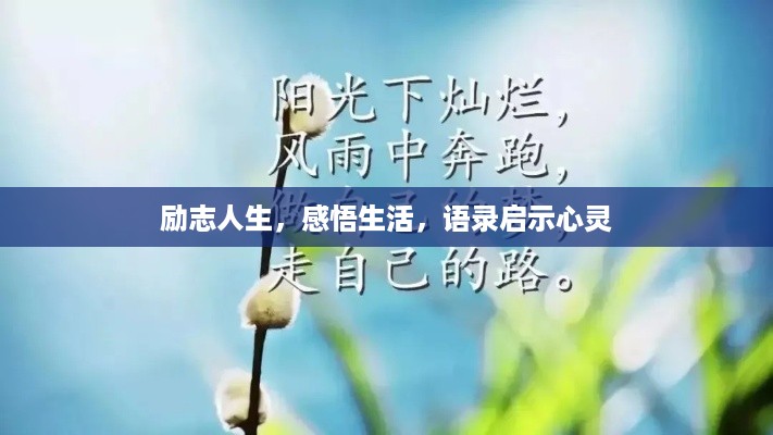 励志人生，感悟生活，语录启示心灵