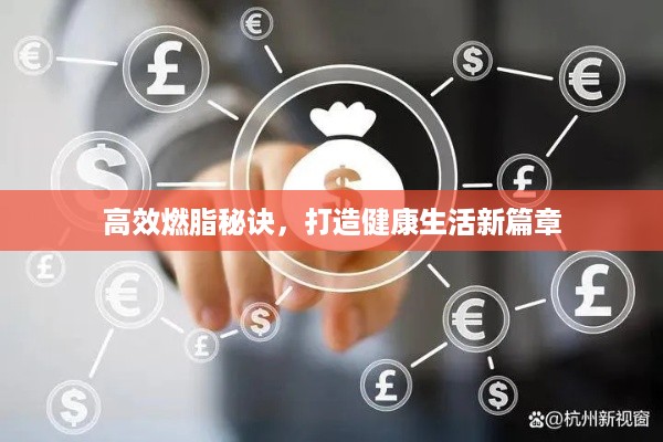 高效燃脂秘诀，打造健康生活新篇章