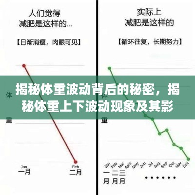 公证管理 第13页