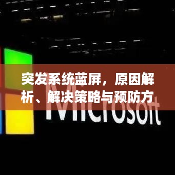 取证 第12页