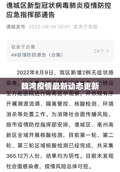 魏湾疫情最新动态更新