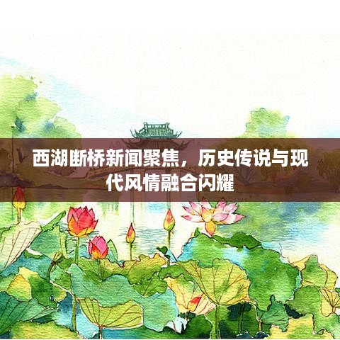 西湖断桥新闻聚焦，历史传说与现代风情融合闪耀
