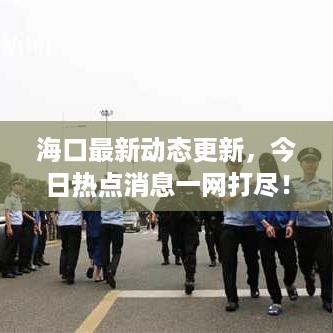 海口最新动态更新，今日热点消息一网打尽！