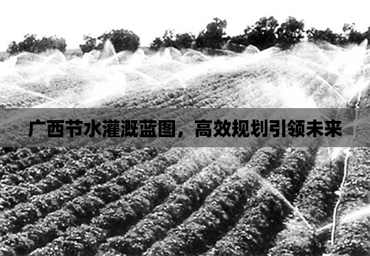 广西节水灌溉蓝图，高效规划引领未来